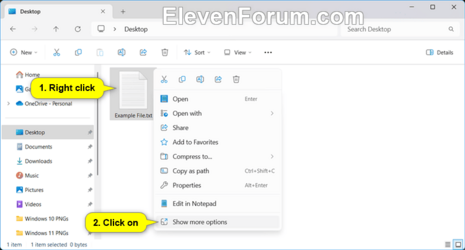 Rename_file_Show_more_options-1.png