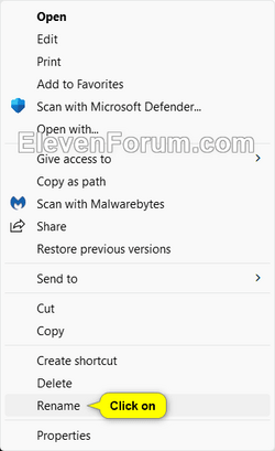 Rename_file_Show_more_options-2.png