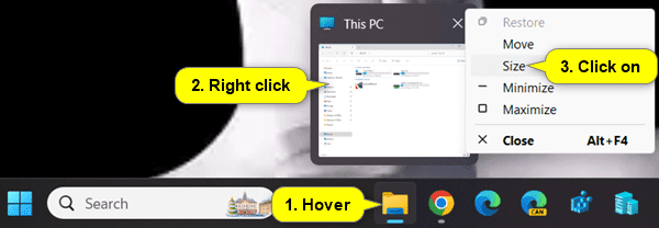 Size_taskbar_thumbnail.png