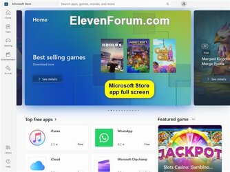 Microsoft_Store_app_full_screen.jpg