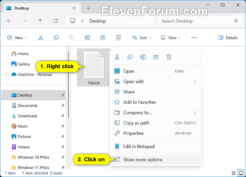 Delete_file_Show_more_options_context_menu-1.png