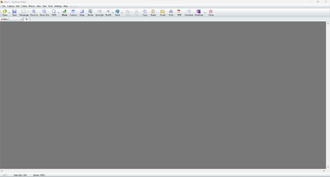 FastStone Capture Editor.png