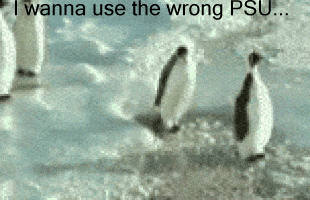 penguins1.gif