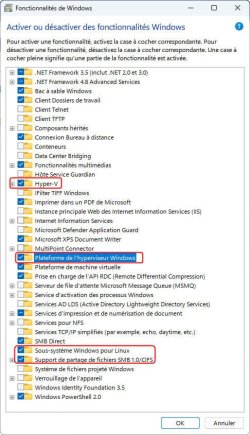 Fonctionalites Windows modifies.jpg