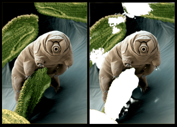 Image1.png Image1.png