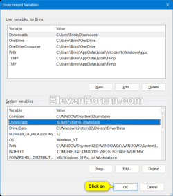 Add_system_environmental_variables-4.png