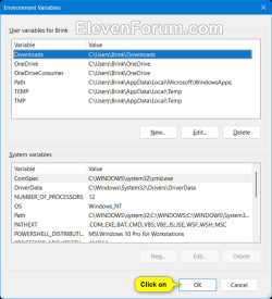 Add_user_environmental_variables-4.png