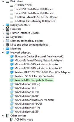Device mgr, Hidden items- Win11.png