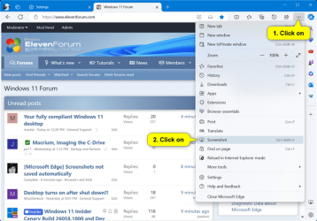 Microsoft_Edge_screenshot_settings.png