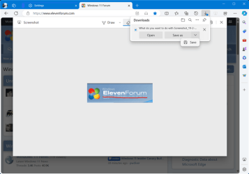 Microsoft_Edge_screenshot-save.png