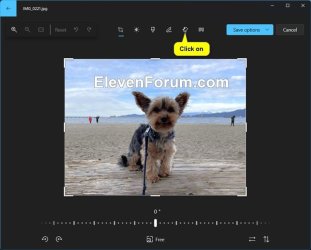 Photos_Generative_erase-2.jpg