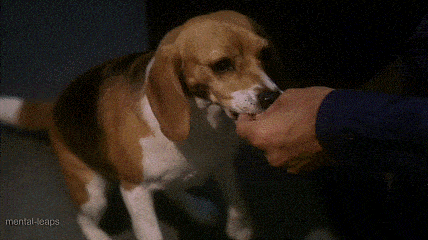 1708662874606.gif