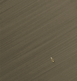 6513.gif