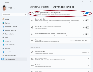 Win Update Advance options update other.png