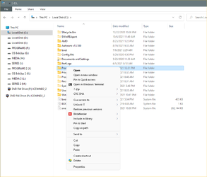 Is there a way to disable 'quick searches' | Windows 11 Forum