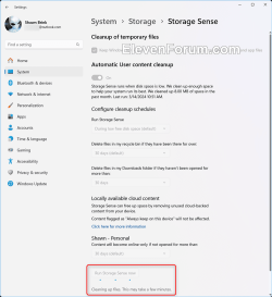 Run_Storage_Sense_now-4.png