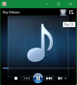 RipCD icon during ripped mp3 playback.png