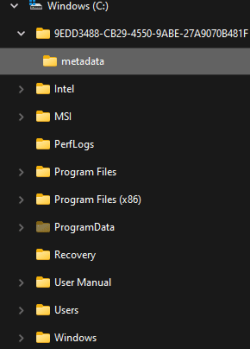 METADATA.png