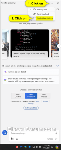 Copilot_plugin_permissions-1b.png