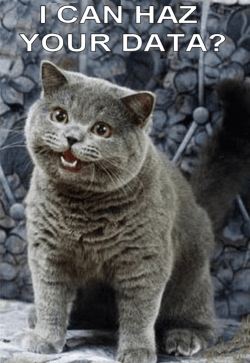 Cheeseburger Cat - blank.png