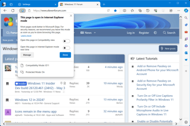 Site_in_Internet_Explorer_mode.png