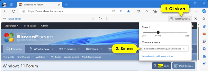 Microsoft_Edge_Read_Aloud_voice_change.png