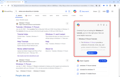 Copilot_response_on_result_page.png