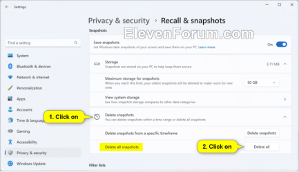 Delete_all_Recall_snapshots.png