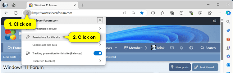 Microsoft_Edge_permissions_for_this_site-1.png