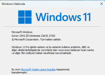Ekran görüntüsü 2024-06-07 203622.png
