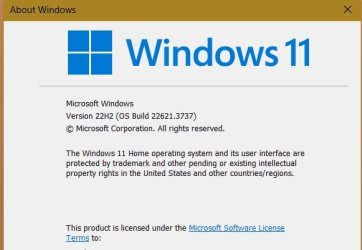 windows.jpg