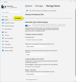 Storage_Sense_cleanup_of_temporary_files.png
