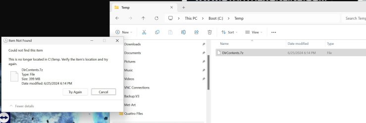 2024-06-25_Undeletable File.jpg