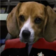 Porthos