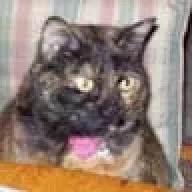 Suzie