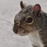 JoeRope