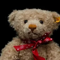 Serious bear