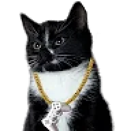 Kota