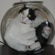 KeithB