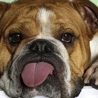 Buster20