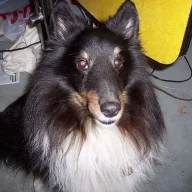 GrayOldman1