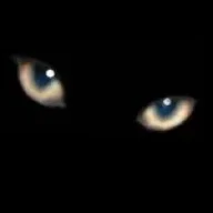 Lucif3l