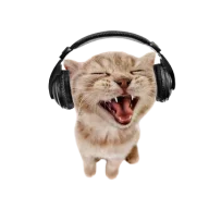 SalSlice