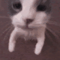 jnjnnjjn