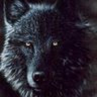 KedarWolf
