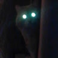 Exegen