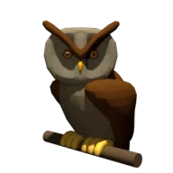 Who3D