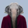 mrelephant