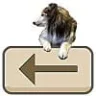 BackSpace