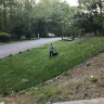 bluebike